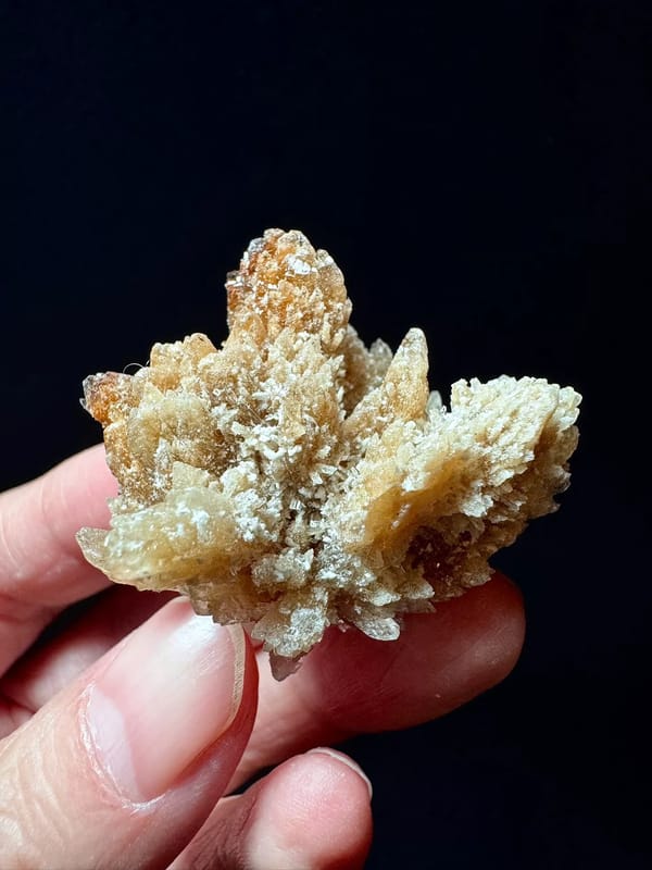 Fan-Spray Gypsum Rosette Cluster — Guizhou — individual mineral specimen view 2