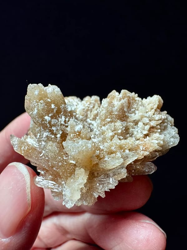 Fan-Spray Gypsum Rosette Cluster — Guizhou — individual mineral specimen view 3