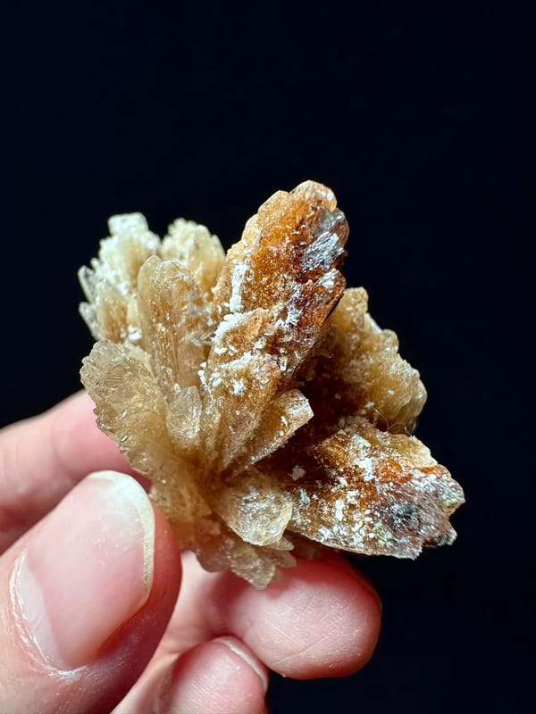 Fan-Spray Gypsum Rosette Cluster — Guizhou — individual mineral specimen view 4