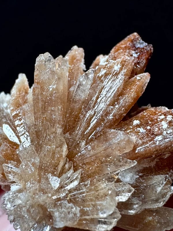 Fan-Spray Gypsum Rosette Cluster — Guizhou — individual mineral specimen view 5