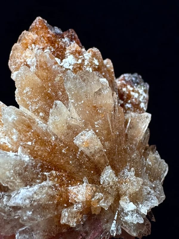 Fan-Spray Gypsum Rosette Cluster — Guizhou — individual mineral specimen view 6