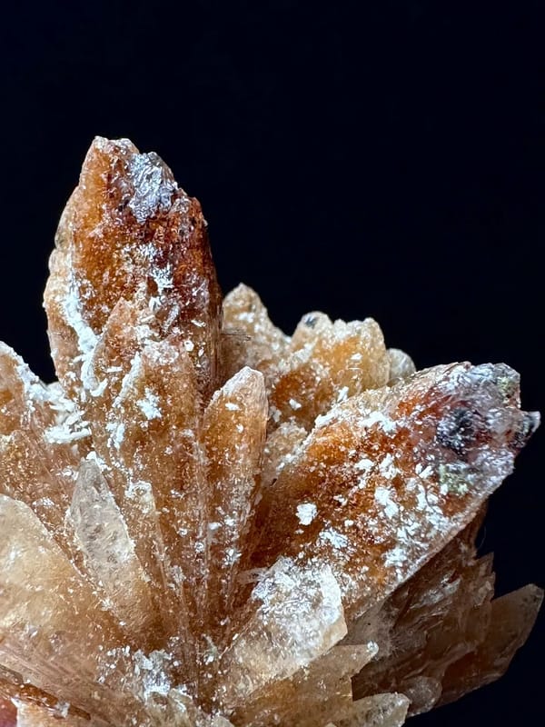 Fan-Spray Gypsum Rosette Cluster — Guizhou — individual mineral specimen view 7