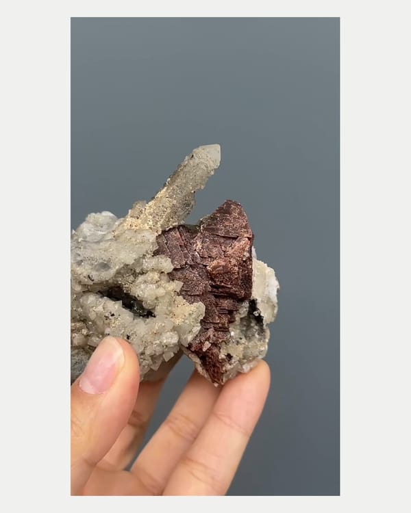 Complete left oblique view of quartz with garnet crystals