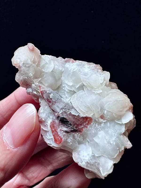 Two-Tone Pink and White Calcite with Quartz — Inner Mongolia — individual mineral specimen view 2