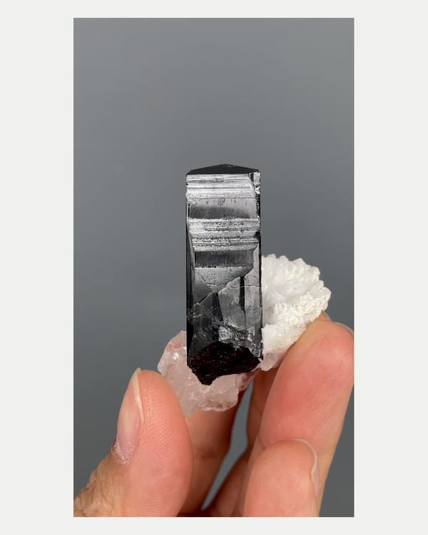 Complete front view of black Pakistan tourmaline with pale matrix