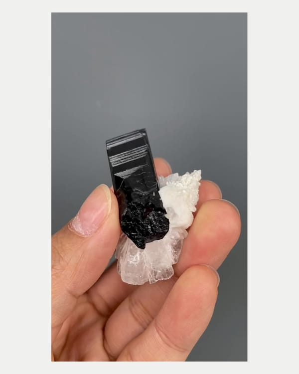 Complete reverse view of black tourmaline and pale quartz