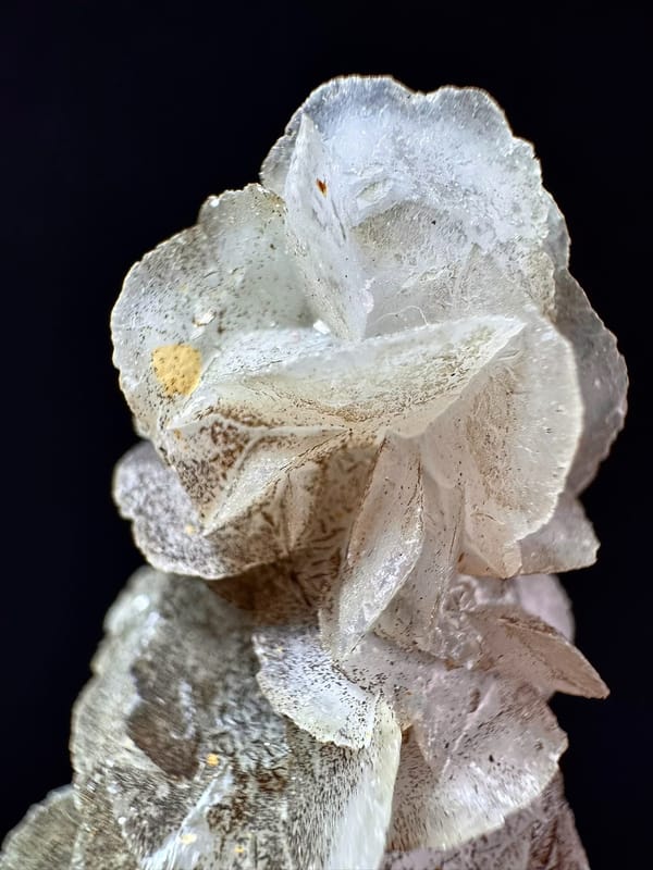 Velvet Quartz with Hematite-Coated Petal Calcite — Inner Mongolia — individual mineral specimen view 4