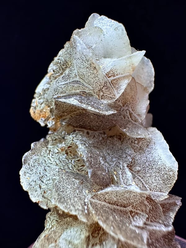 Velvet Quartz with Hematite-Coated Petal Calcite — Inner Mongolia — individual mineral specimen view 5