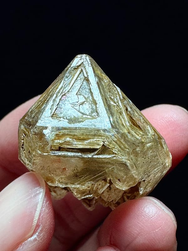 Golden Skeletal Quartz with Six-Window Etching — Pakistan — individual mineral specimen view 6