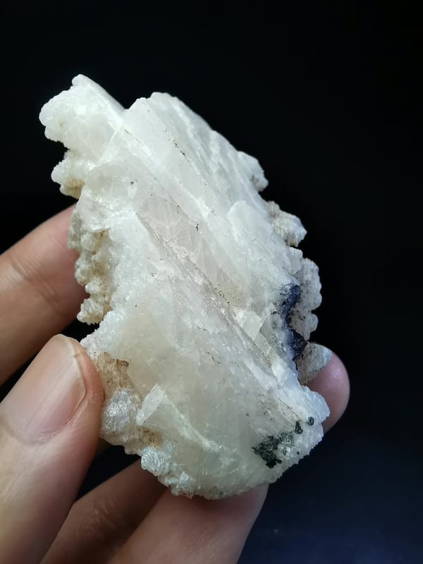 Complete side view showing the projecting layered calcite structure