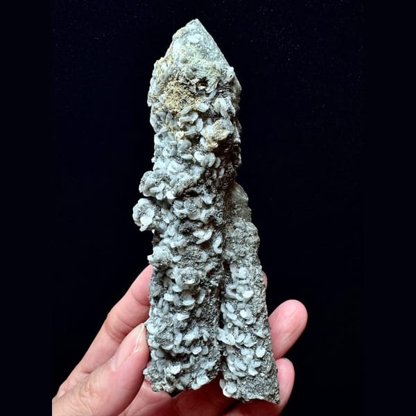 Sparkly skeletal quartz with black and white petal calcite from Inner Mongolia — complete view