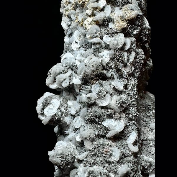 Sparkly skeletal quartz with black and white petal calcite from Inner Mongolia — detail view