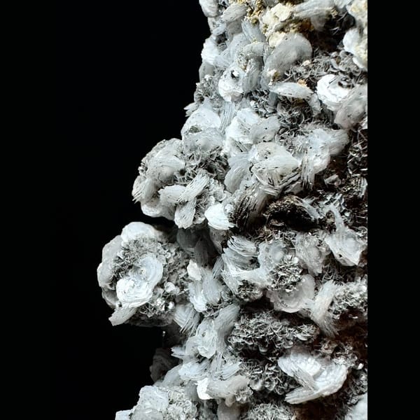 Sparkly skeletal quartz with black and white petal calcite from Inner Mongolia — detail view