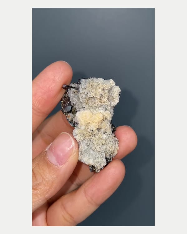 Complete reverse view of wolframite with pyrite and calcite