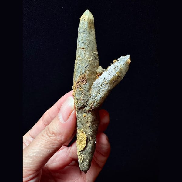 Double-terminated quartz with black tourmaline from Hashupi, Pakistan — alternate view