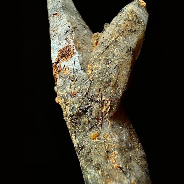 Double-terminated quartz with black tourmaline from Hashupi, Pakistan — detail view