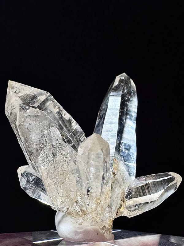 Exploded-Flower Himalayan Quartz Cluster — Hashupi — individual mineral specimen view 2