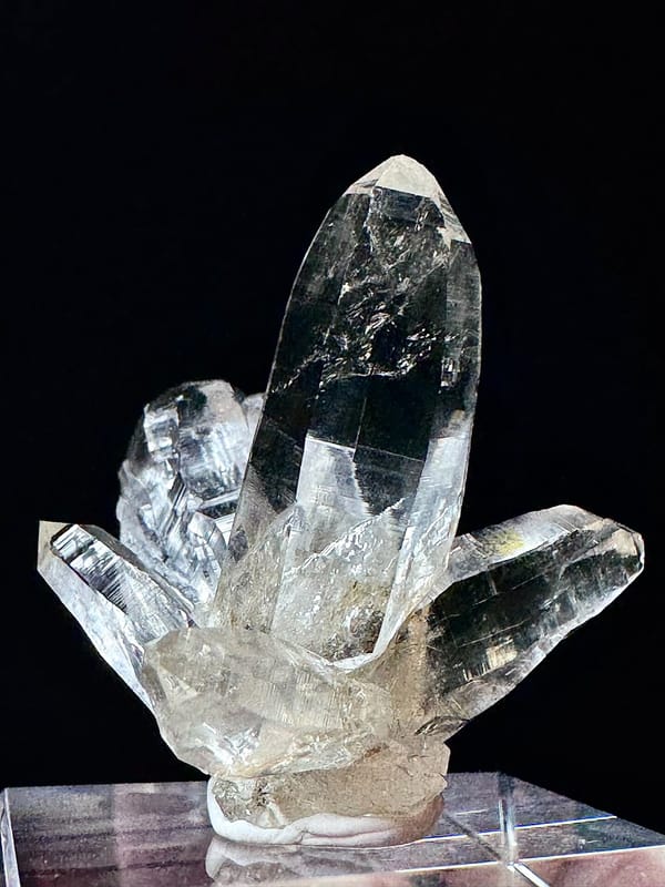 Exploded-Flower Himalayan Quartz Cluster — Hashupi — individual mineral specimen view 4