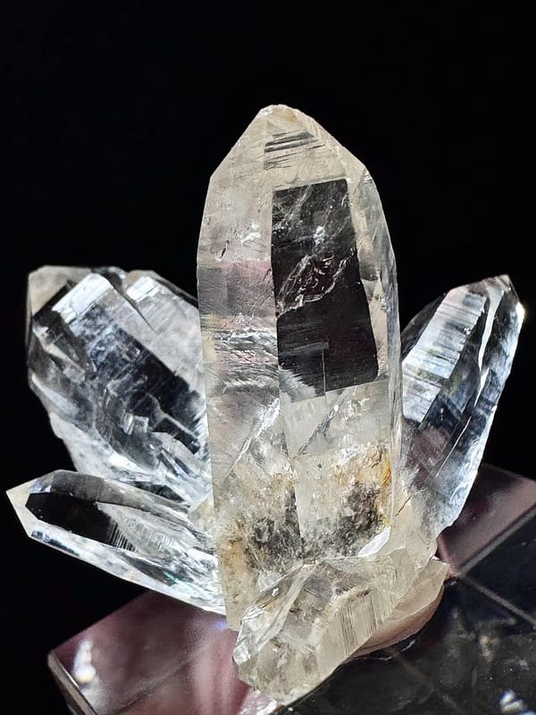Exploded-Flower Himalayan Quartz Cluster — Hashupi — individual mineral specimen view 6