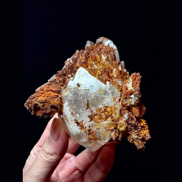 Double-terminated quartz floater with golden crust from Hashupi, Pakistan — complete view