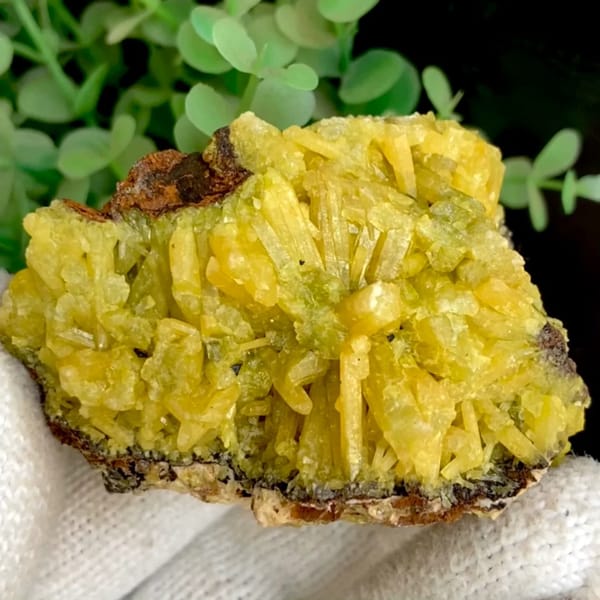 Bright yellow pyromorphite cluster from Guangxi — complete view