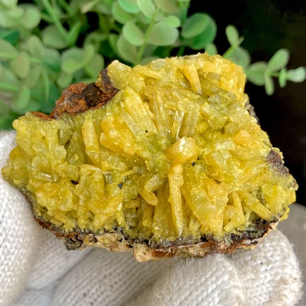 Bright yellow pyromorphite cluster from Guangxi — alternate view