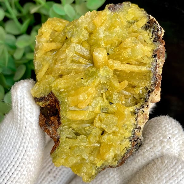 Bright yellow pyromorphite cluster from Guangxi — alternate view
