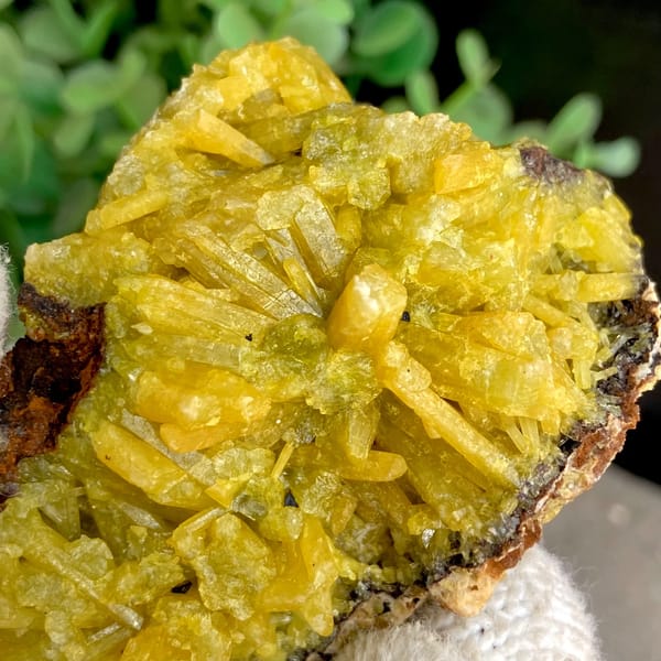 Bright yellow pyromorphite cluster from Guangxi — detail view