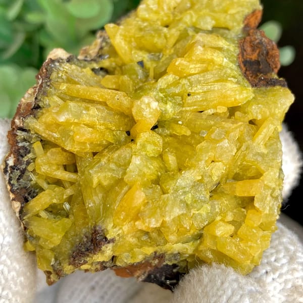 Bright yellow pyromorphite cluster from Guangxi — detail view