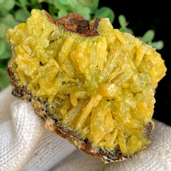 Bright yellow pyromorphite cluster from Guangxi — detail view