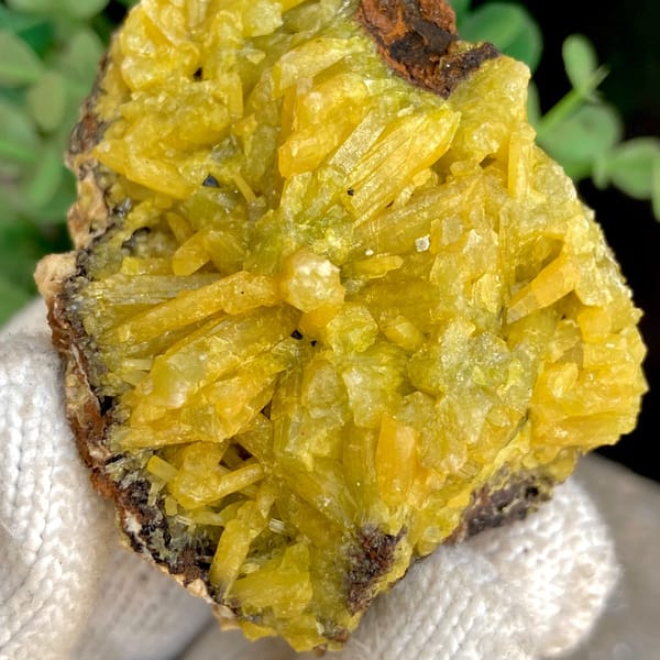 Bright yellow pyromorphite cluster from Guangxi — detail view