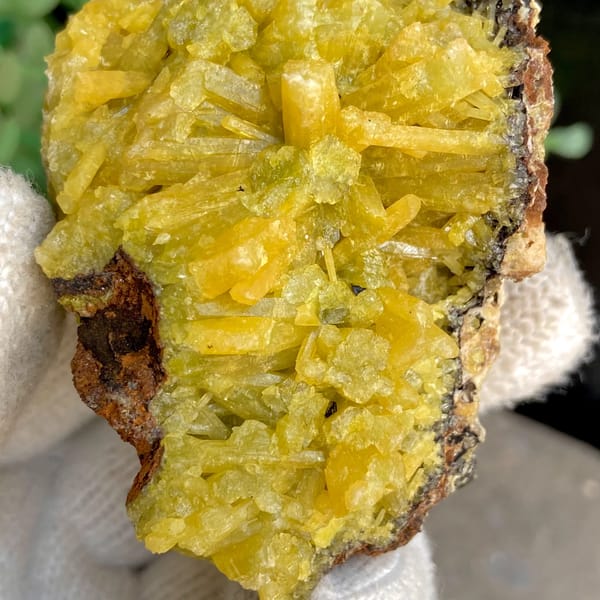 Bright yellow pyromorphite cluster from Guangxi — detail view