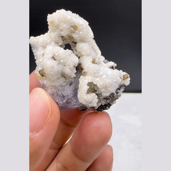 Dolomite with Scheelite and Wolframite Yaogangxian 4.2 cm — complete view