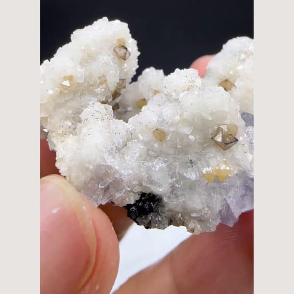 Dolomite with Scheelite and Wolframite Yaogangxian 4.2 cm — alternate view