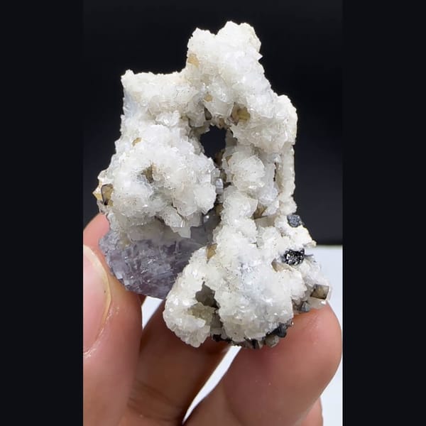 Dolomite with Scheelite and Wolframite Yaogangxian 4.2 cm — detail view