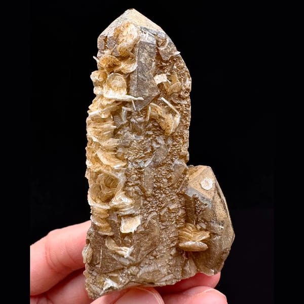 Skeletal quartz with pale yellow petal calcite from Inner Mongolia — complete view