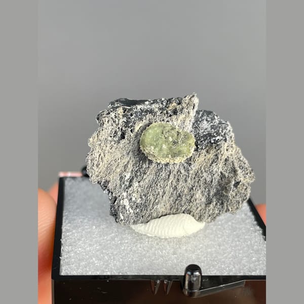 Green radiating wavellite on grey matrix from the USA — complete view