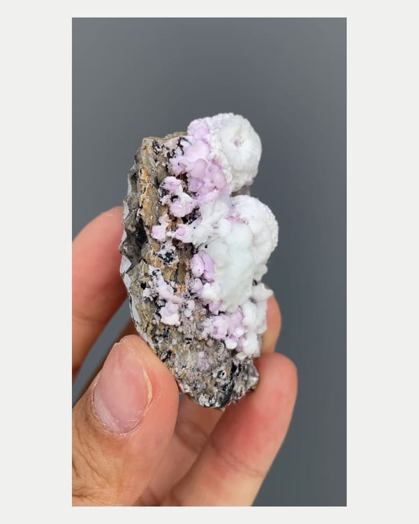 Complete left oblique view of bicolor aragonite cluster