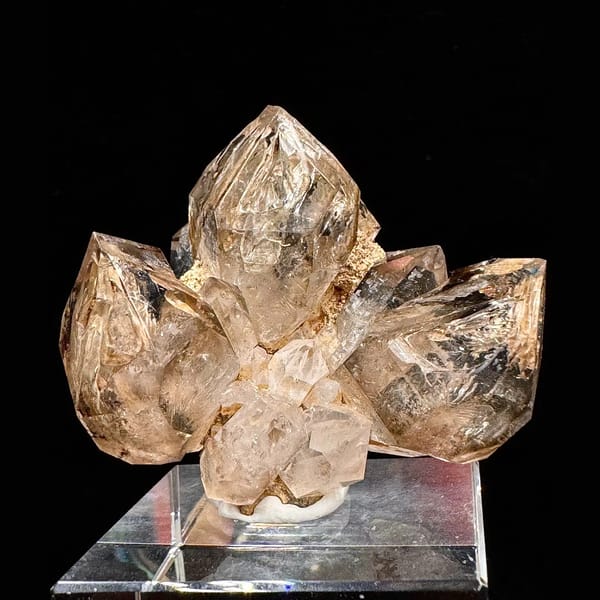 Smoky skeletal quartz flower cluster from Namibia — complete view