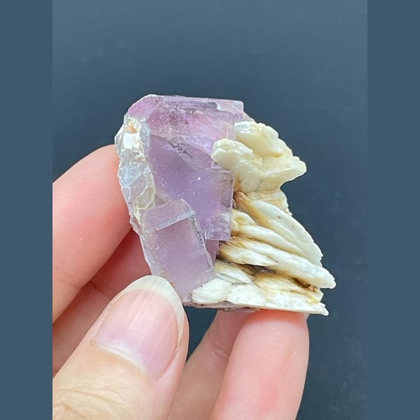 Purple fluorite cube with cream barite blades from Spain — complete view