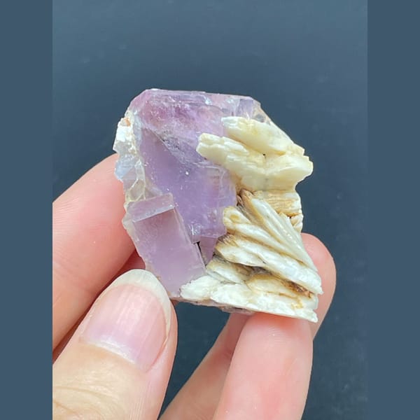 Purple fluorite cube with cream barite blades from Spain — alternate view