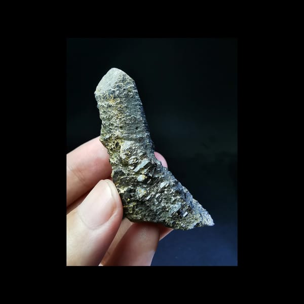 Tea-brown skeletal elestial quartz crystal — complete view