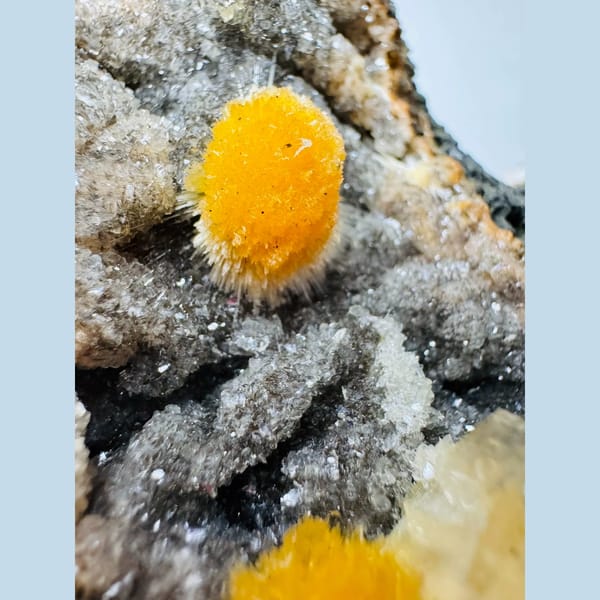 Orange Zeolite Spheres on Basalt India 9.0 cm — detail view