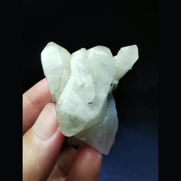 Floater quartz cluster with criss-cross crystals — complete view