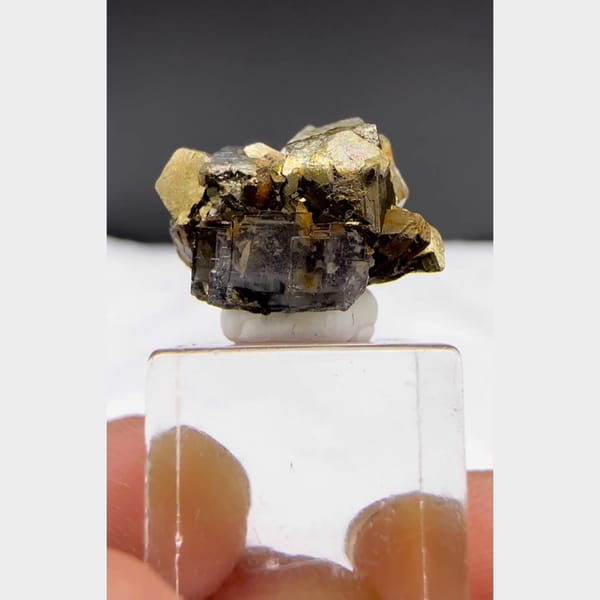 Fluorite with Golden Arsenopyrite Yaogangxian 1.5 cm — complete view