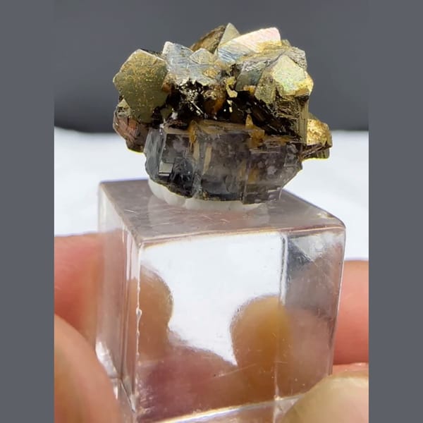 Fluorite with Golden Arsenopyrite Yaogangxian 1.5 cm — alternate view