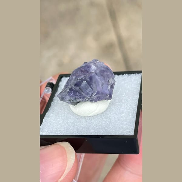 Small violet-blue fluorite crystal from Fujian in a display box — complete view