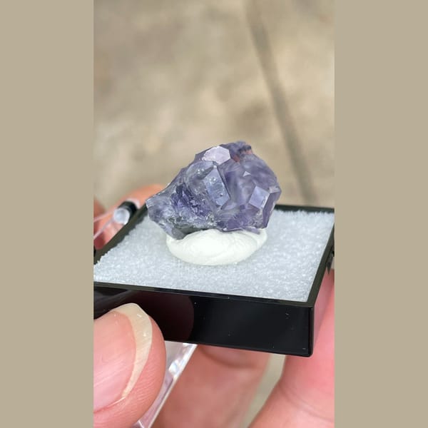 Small violet-blue fluorite crystal from Fujian in a display box — alternate view