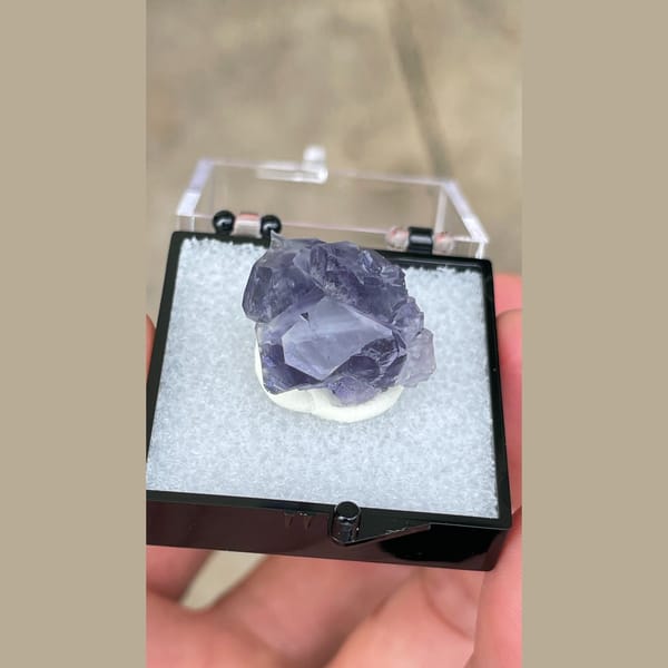 Small violet-blue fluorite crystal from Fujian in a display box — alternate view