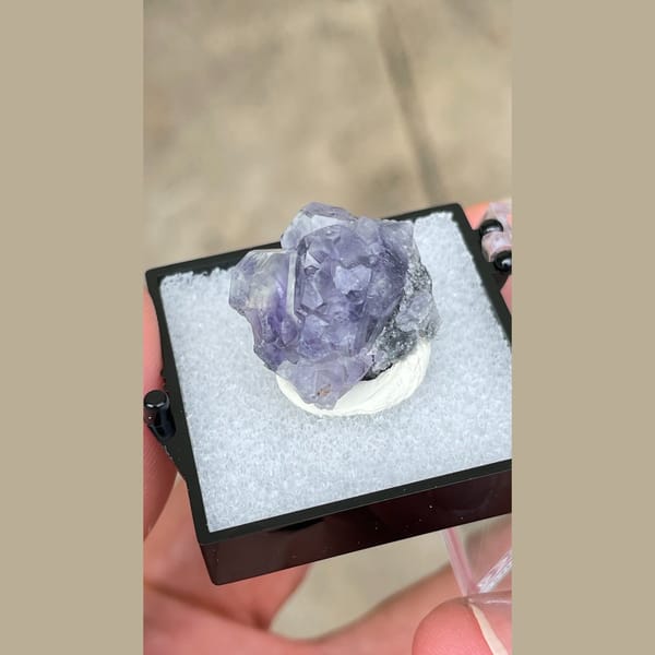 Small violet-blue fluorite crystal from Fujian in a display box — detail view
